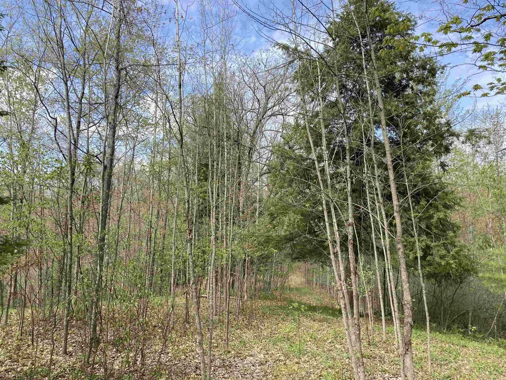 2866 Main Street Hill Township MI 48635