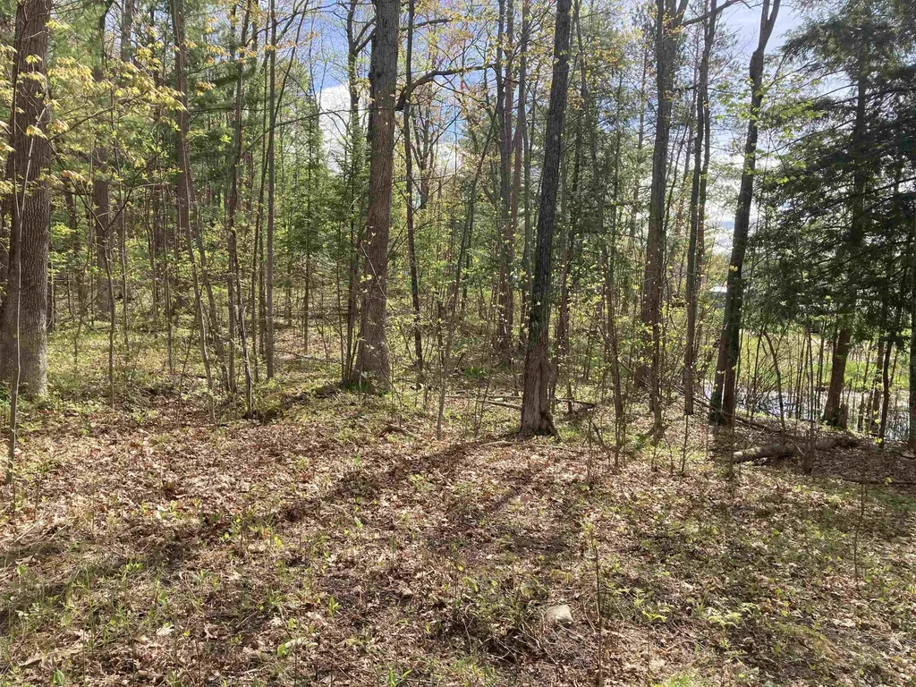2866 Main Street Hill Township MI 48635