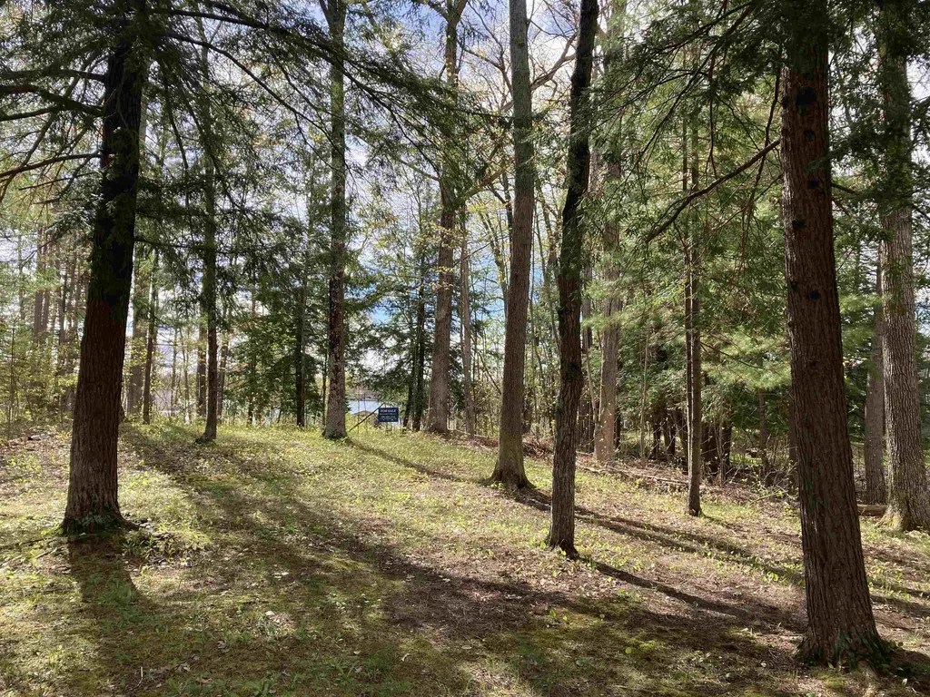 2866 Main Street Hill Township MI 48635