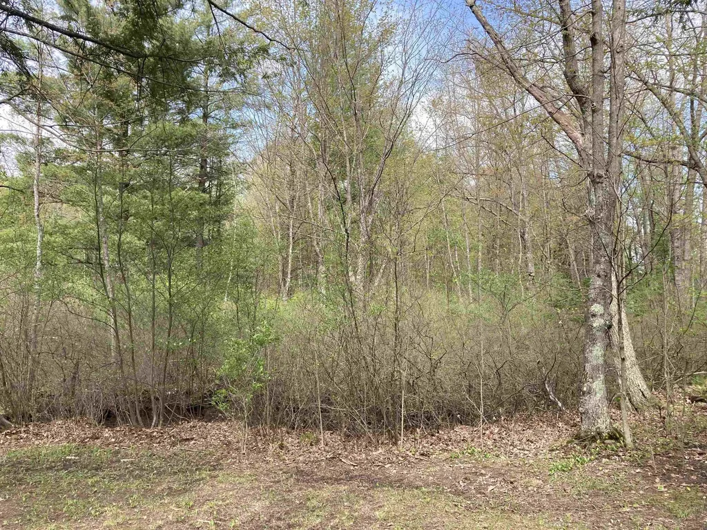 2866 Main Street Hill Township MI 48635