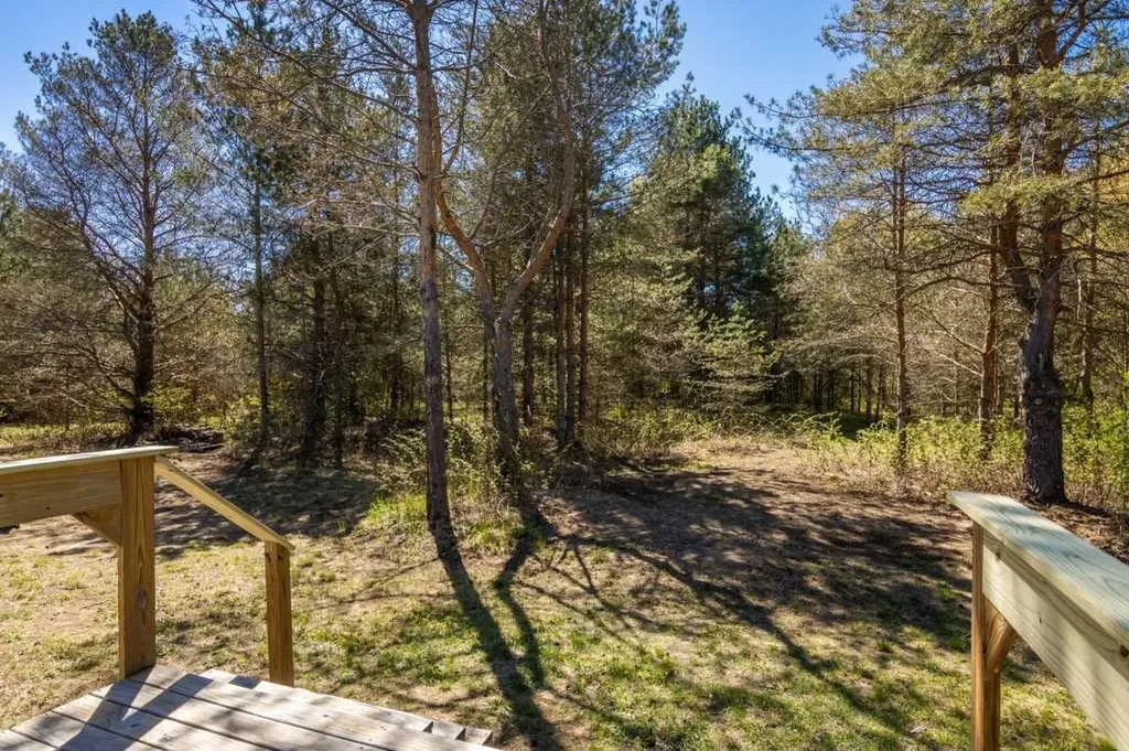17679 Fewins Road Inland Township MI 49643