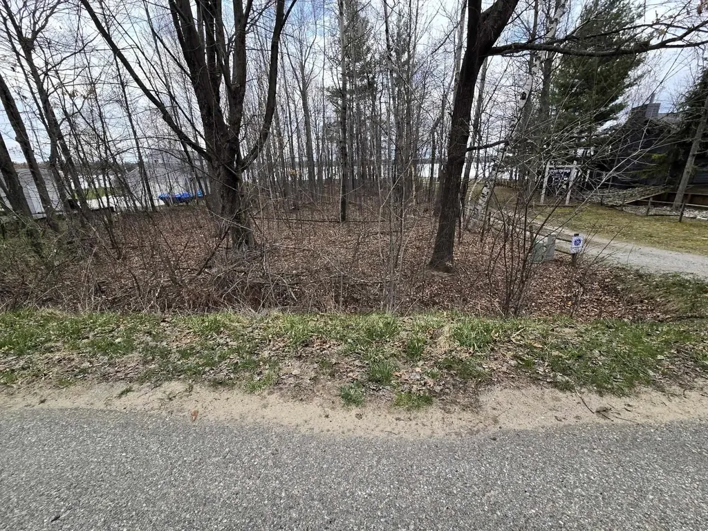 Xx N Salisbury Butman Township MI 48624