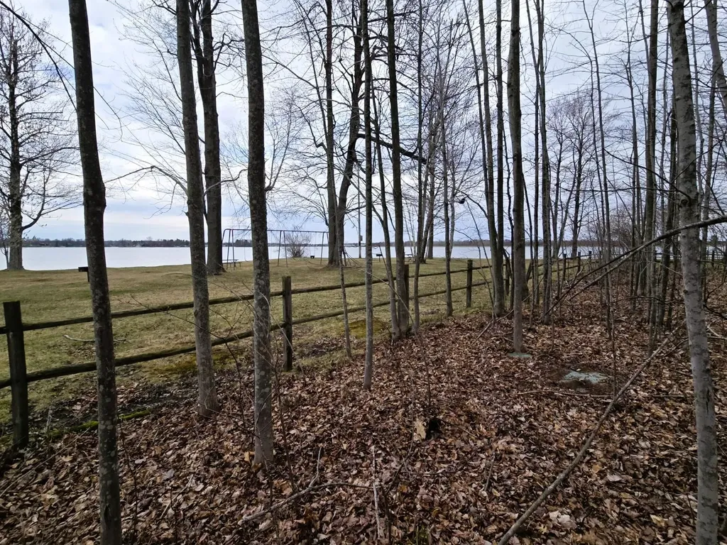 Xx N Salisbury Butman Township MI 48624