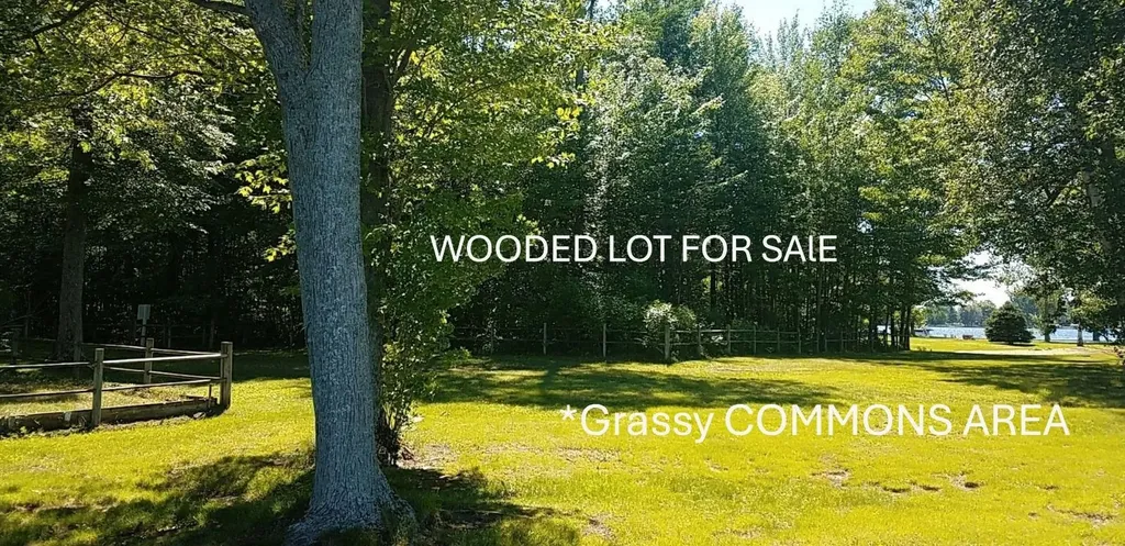 Xx N Salisbury Butman Township MI 48624