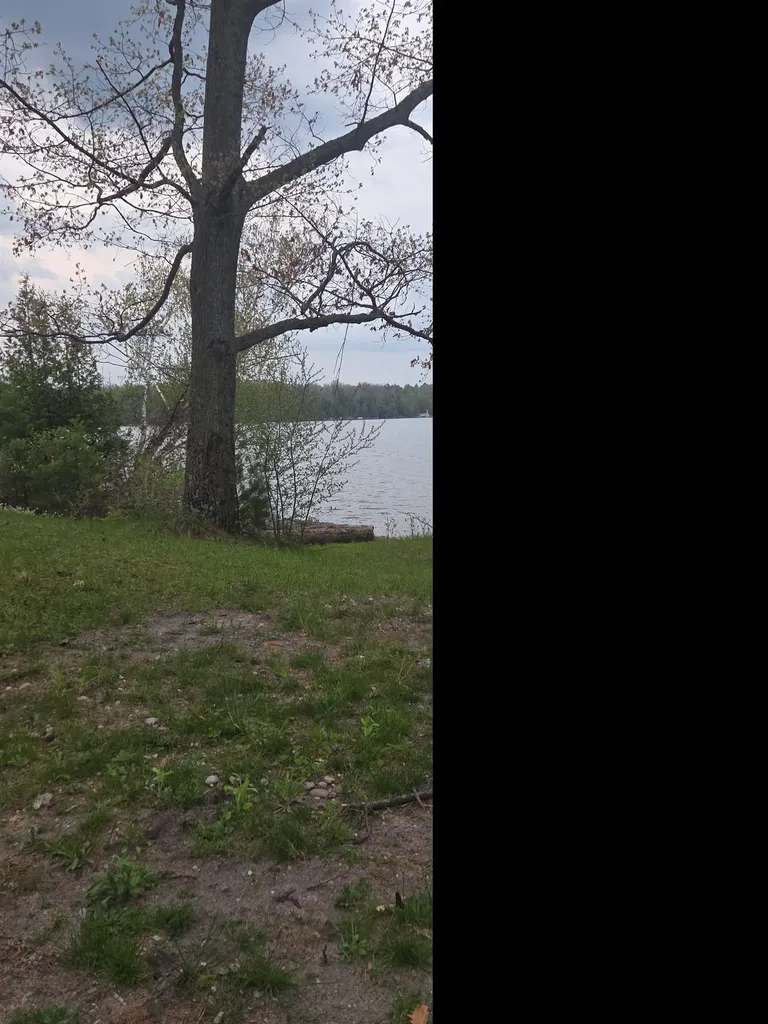 00 Wild Cherry Lane Plainfield Township MI 48739