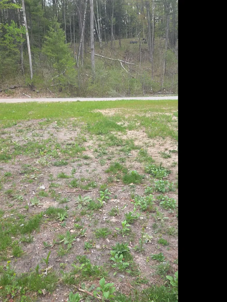 00 Wild Cherry Lane Plainfield Township MI 48739