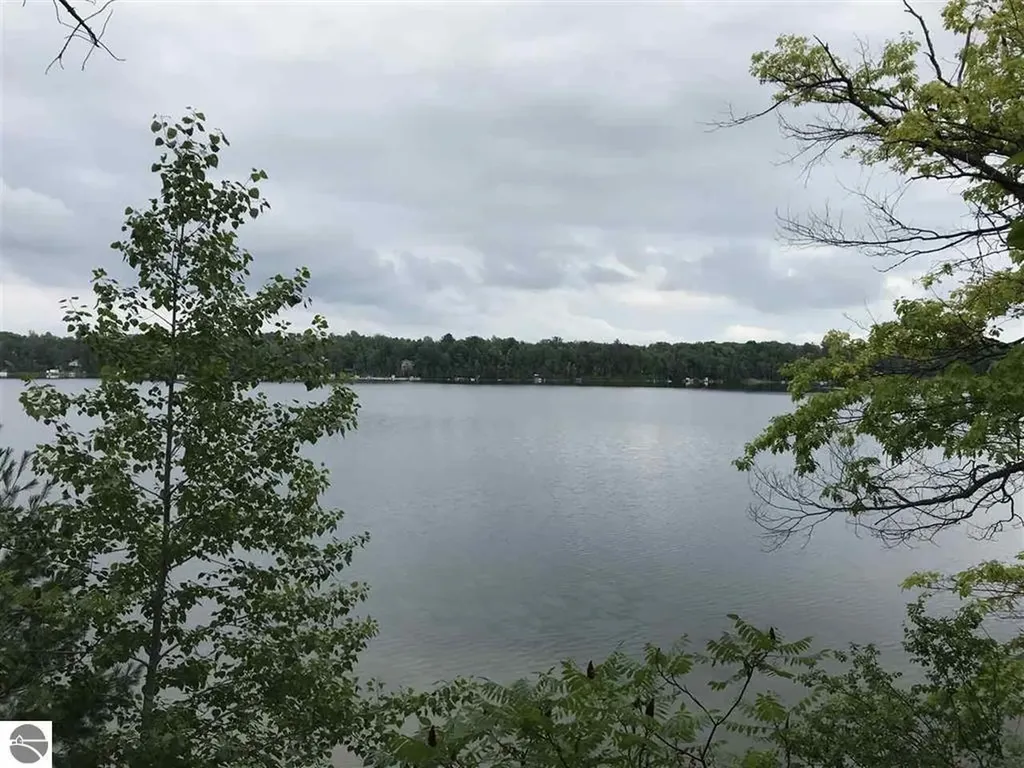 00 Wild Cherry Lane Plainfield Township MI 48739