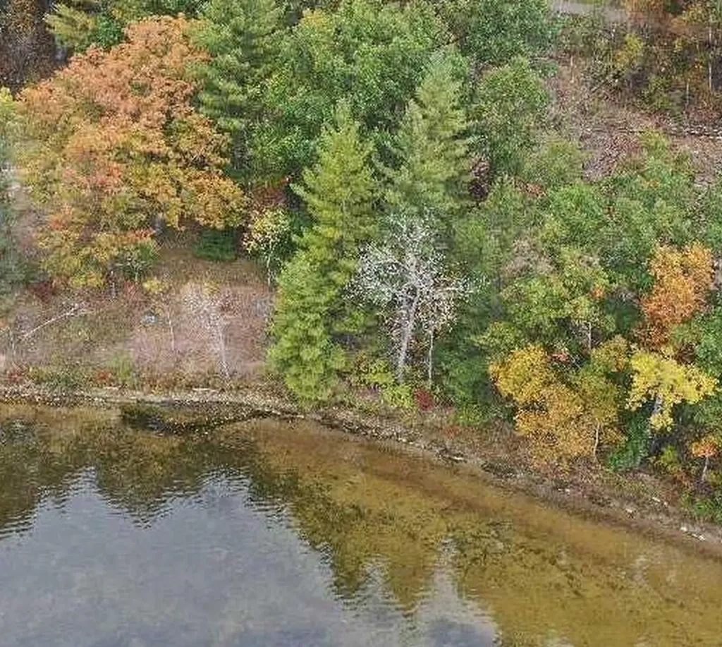 00 Wild Cherry Lane Plainfield Township MI 48739