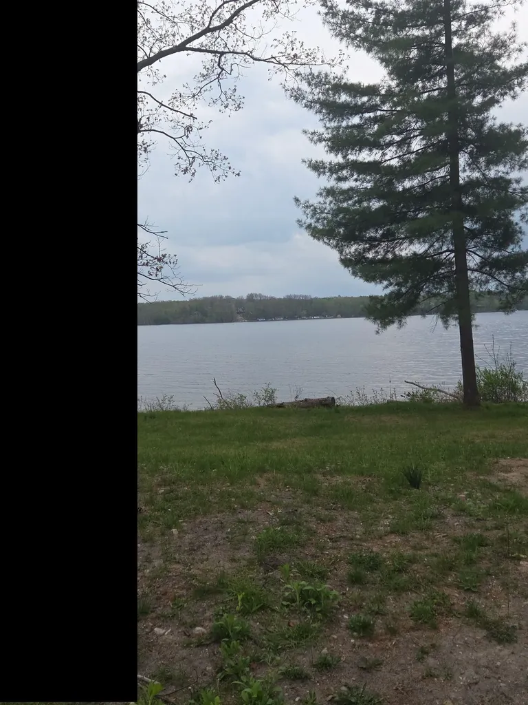 00 Wild Cherry Lane Plainfield Township MI 48739
