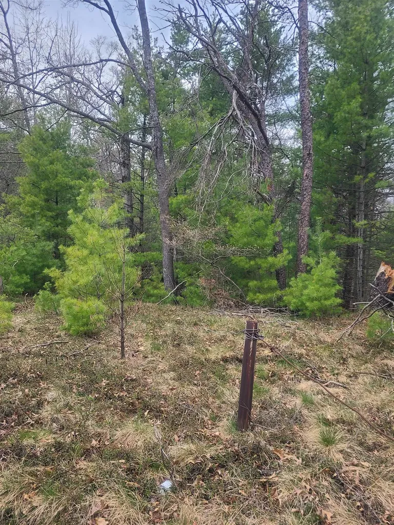 3856 Old State Road Grant Township MI 48748