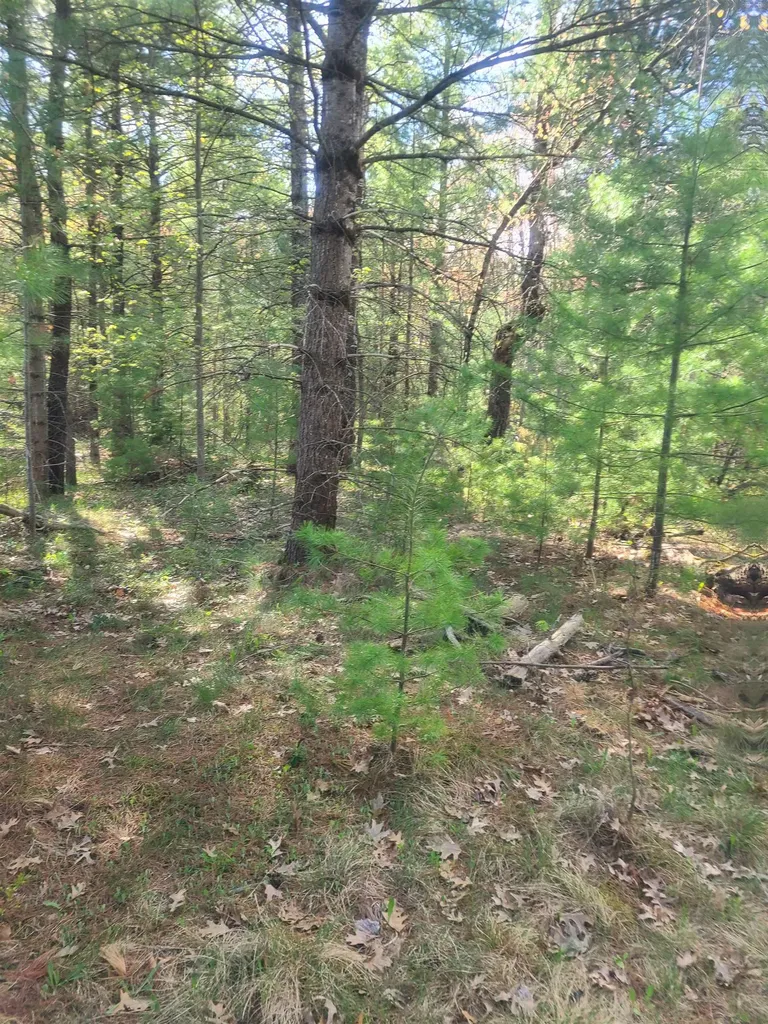3856 Old State Road Grant Township MI 48748