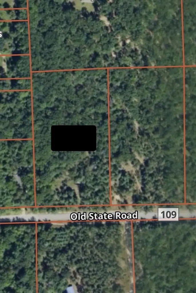 3856 Old State Road Grant Township MI 48748