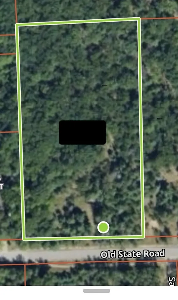 3856 Old State Road Grant Township MI 48748