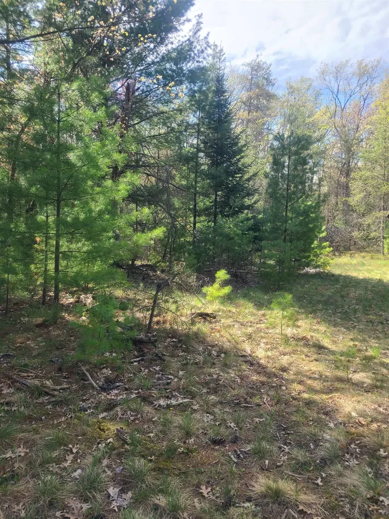 3856 Old State Road Grant Township MI 48748