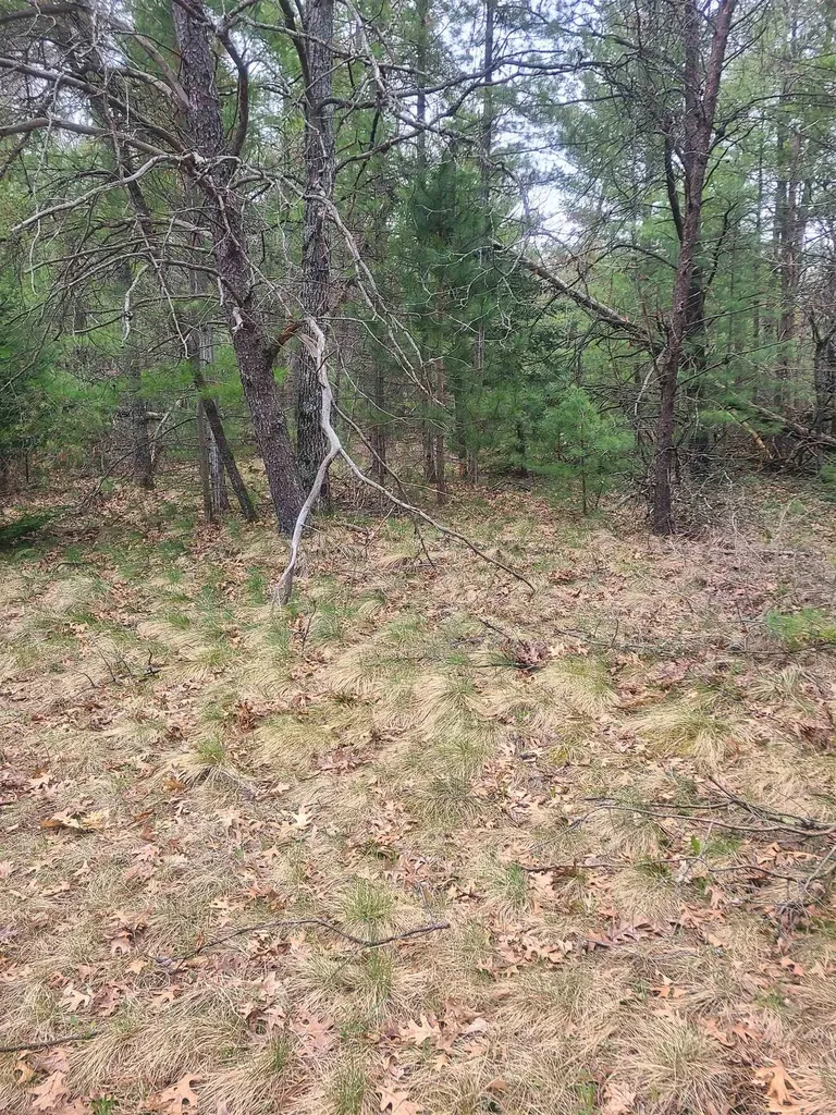 3856 Old State Road Grant Township MI 48748