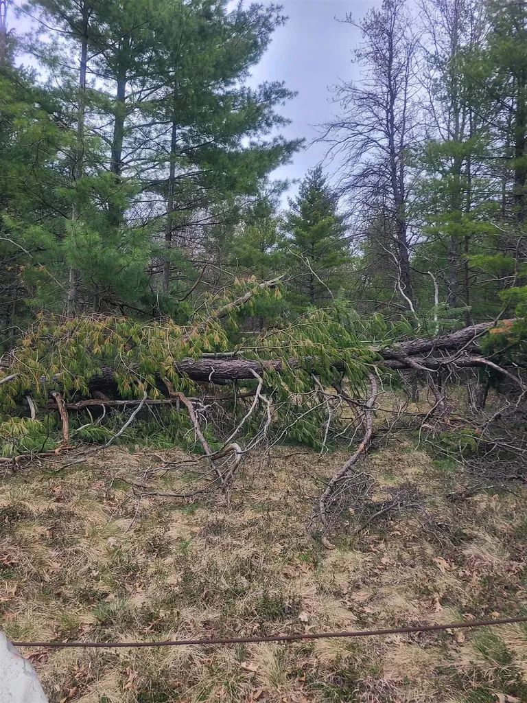 3856 Old State Road Grant Township MI 48748