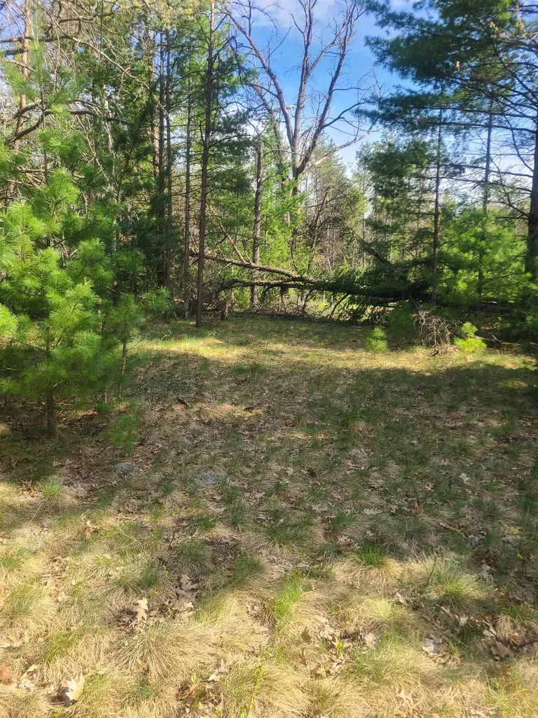 3856 Old State Road Grant Township MI 48748