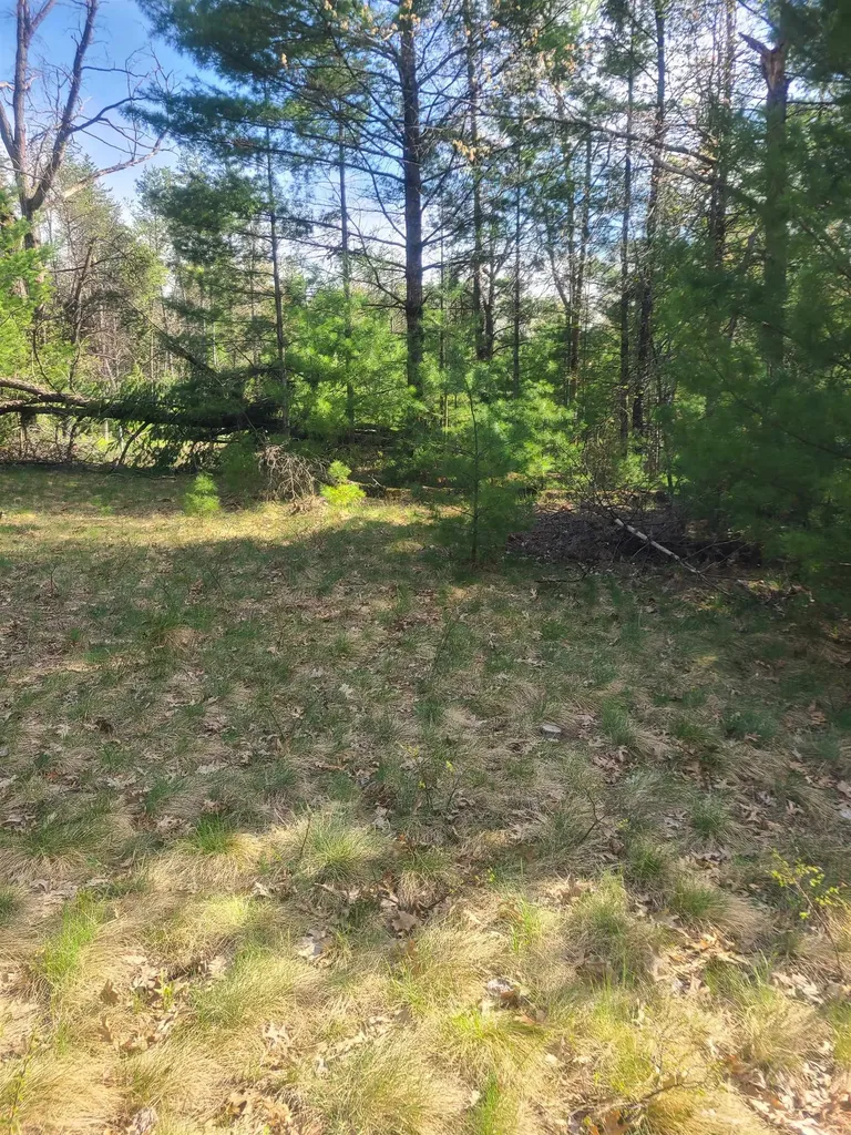 3856 Old State Road Grant Township MI 48748