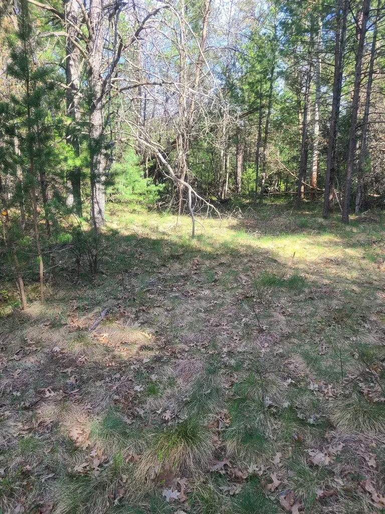 3856 Old State Road Grant Township MI 48748