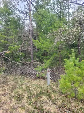 3856 Old State Road Grant Township MI 48748
