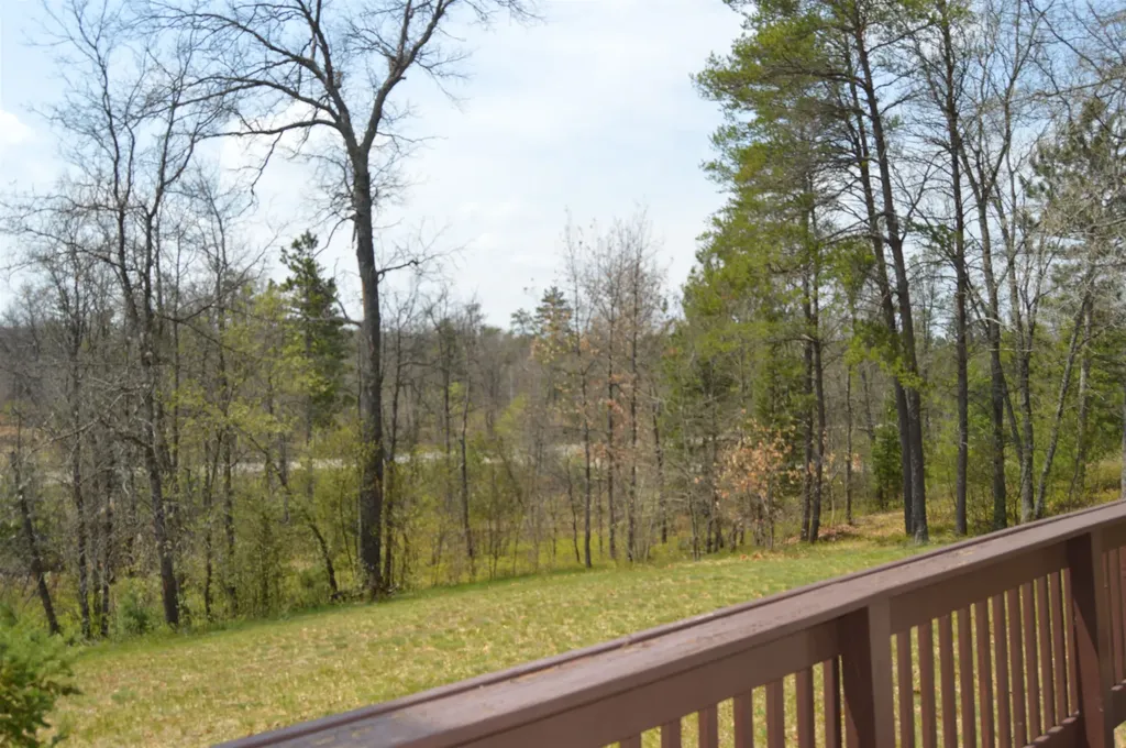 832 Hillcrest Drive Mentor Township MI 48647
