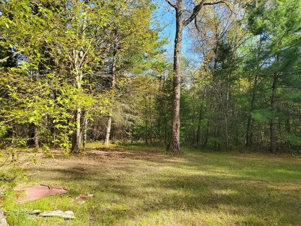4022 Chippewa Trail Plainfield Township MI 48739
