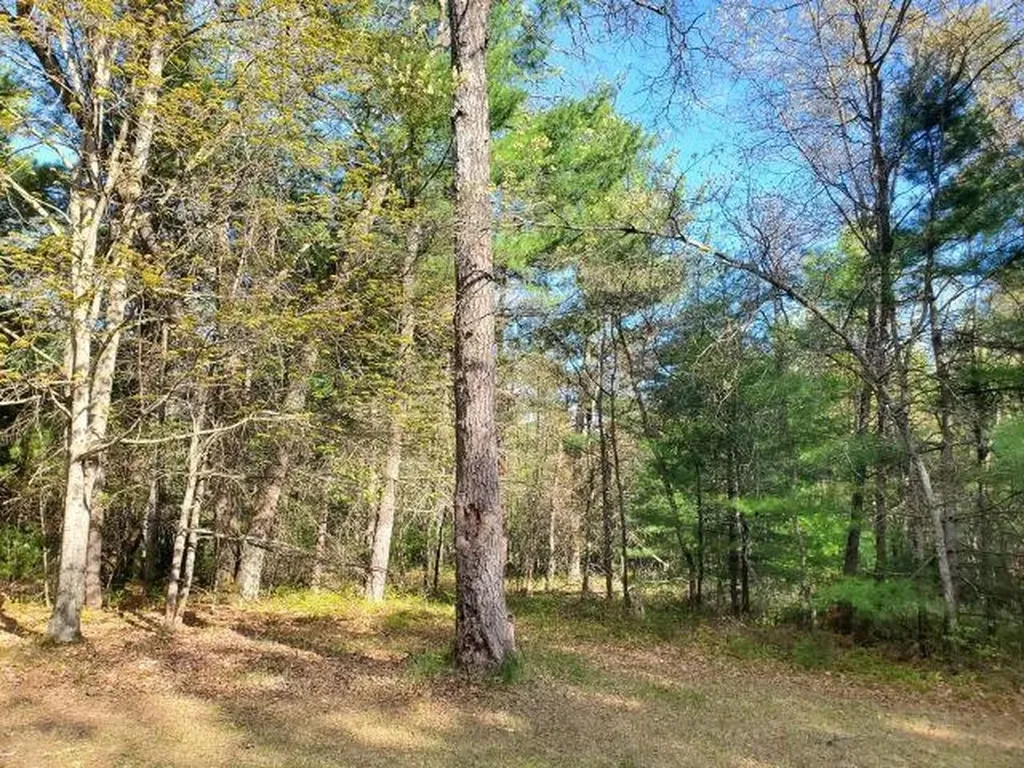 4022 Chippewa Trail Plainfield Township MI 48739