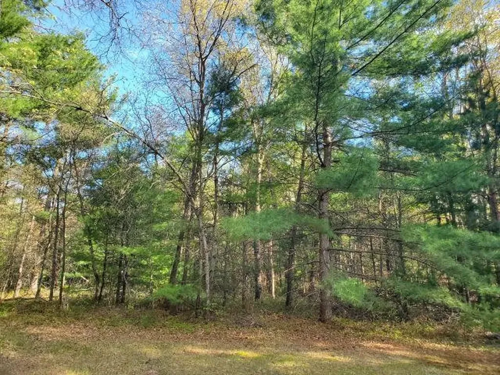 4022 Chippewa Trail Plainfield Township MI 48739