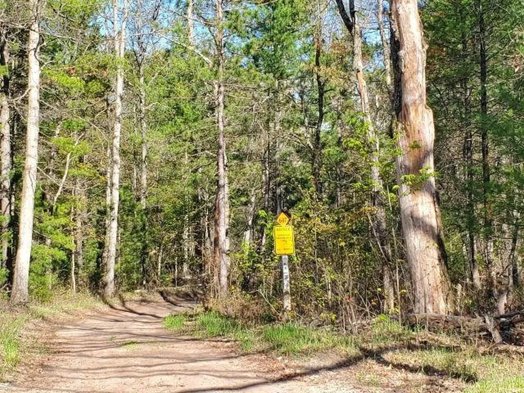 4022 Chippewa Trail Plainfield Township MI 48739