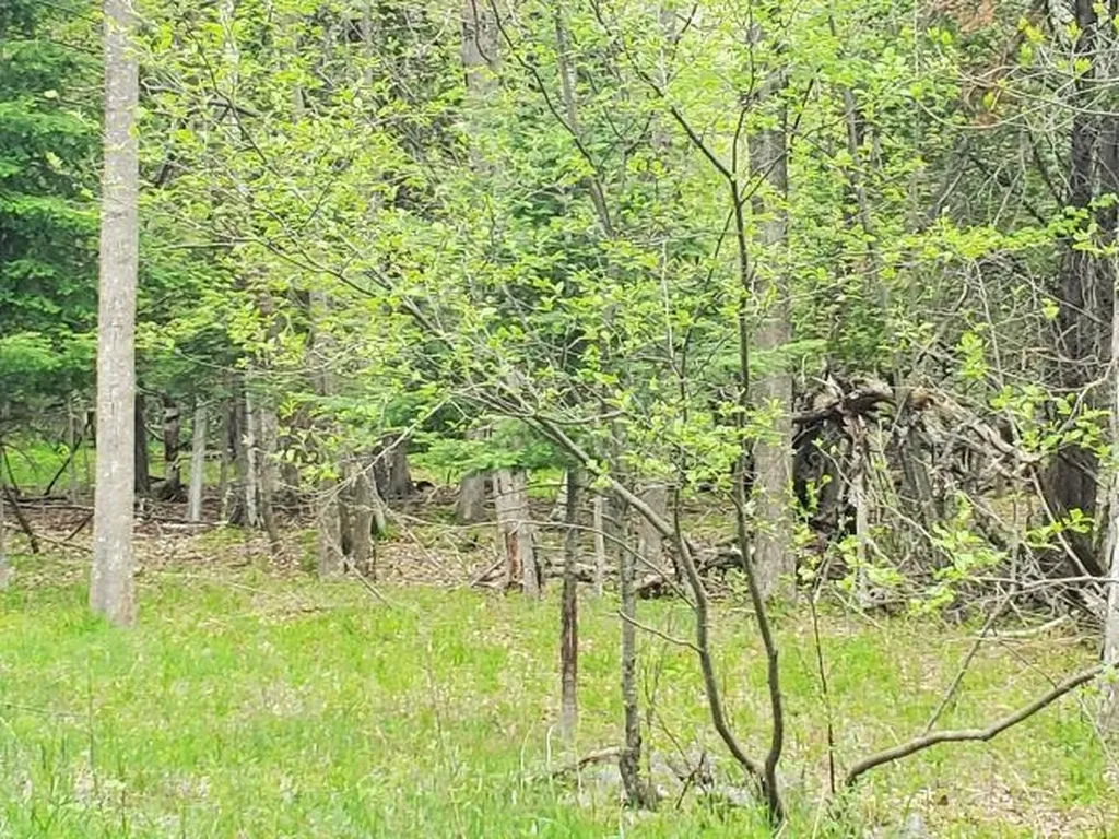 44 Rolling Hills Drive West Branch Township MI 48661