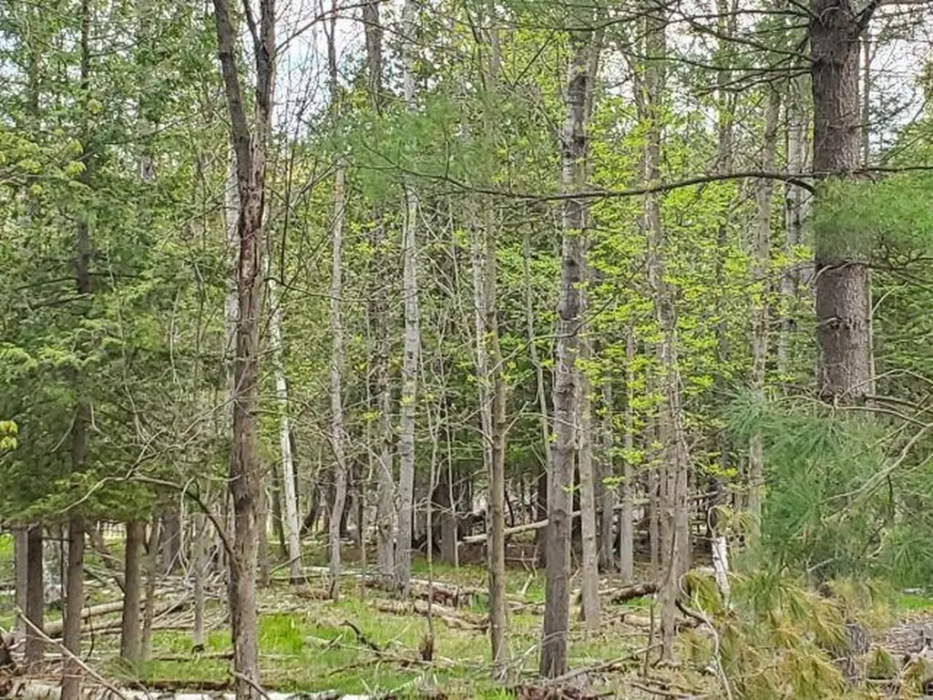 44 Rolling Hills Drive West Branch Township MI 48661