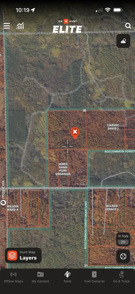 0 Clear Lake Road Klacking Township MI 48661
