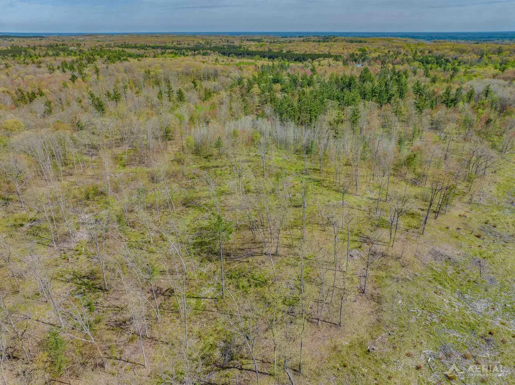 0 Clear Lake Road Klacking Township MI 48661