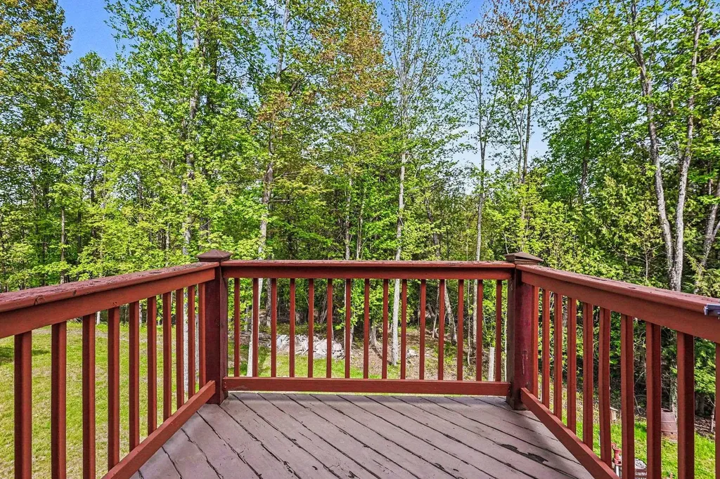 1900 N Forest Lake Drive Clayton Township MI 48610