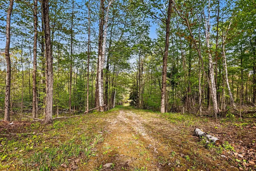 1900 N Forest Lake Drive Clayton Township MI 48610