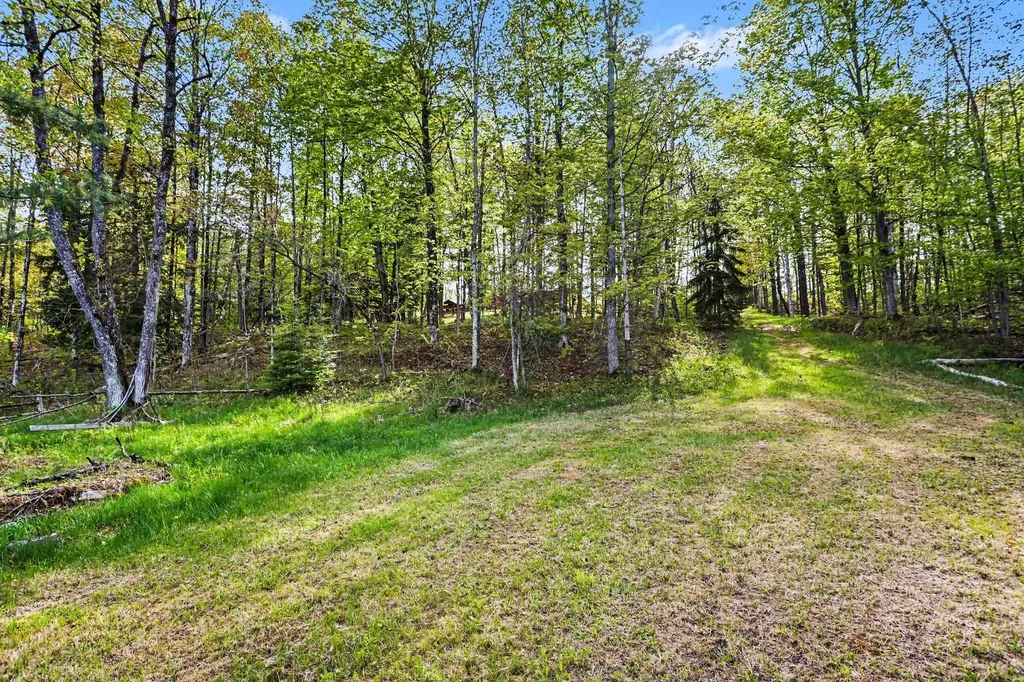 1900 N Forest Lake Drive Clayton Township MI 48610