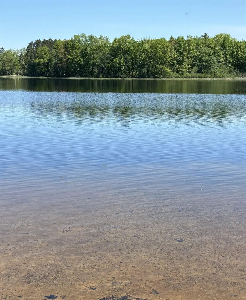 3451 Deerfield Hill Township MI 48635