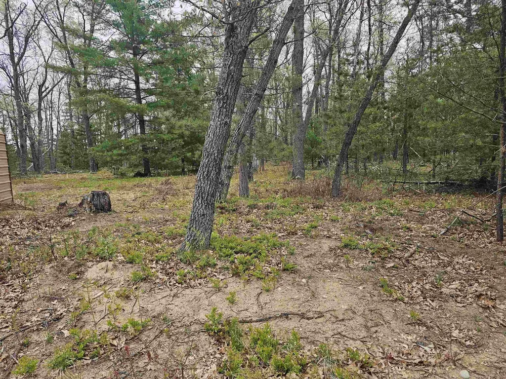 V/l Morawa Trail Plainfield Township MI 48739
