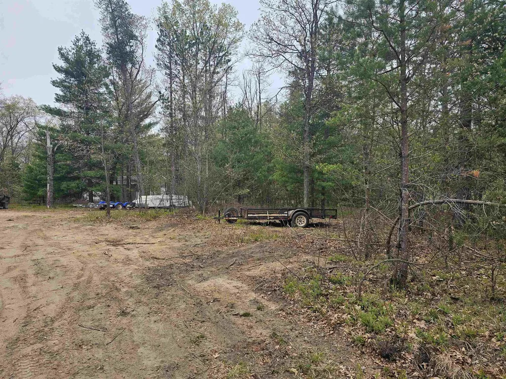 V/l Morawa Trail Plainfield Township MI 48739
