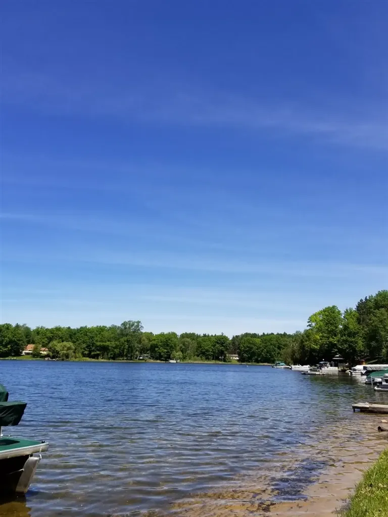8120 Avalon Drive Plainfield Township MI 48739