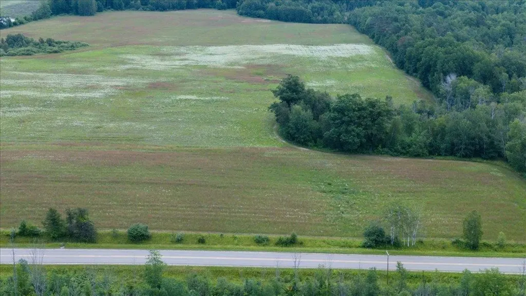 00 Lot 5 Countyline Road Plainfield Township MI 48739