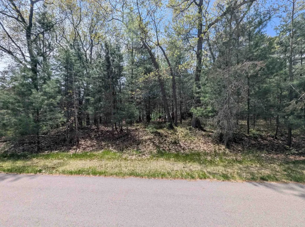 N/a Golfview Court Sims Township MI 48703