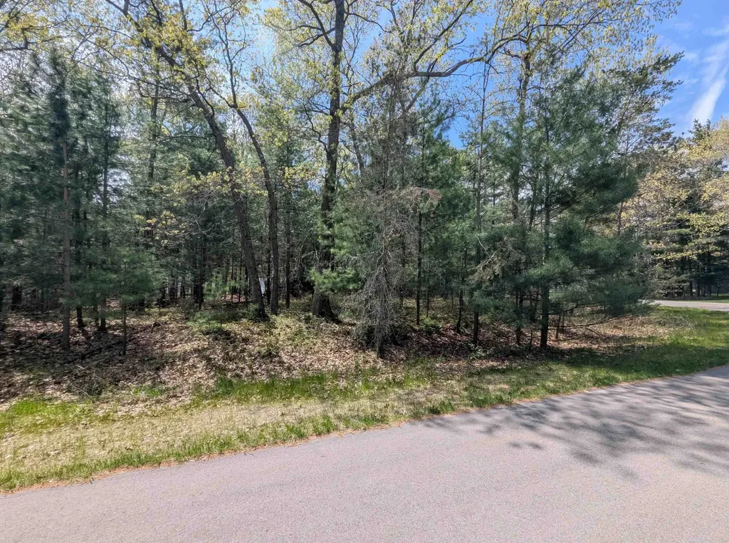 N/a Golfview Court Sims Township MI 48703