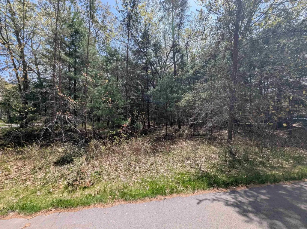 N/a Golfview Court Sims Township MI 48703