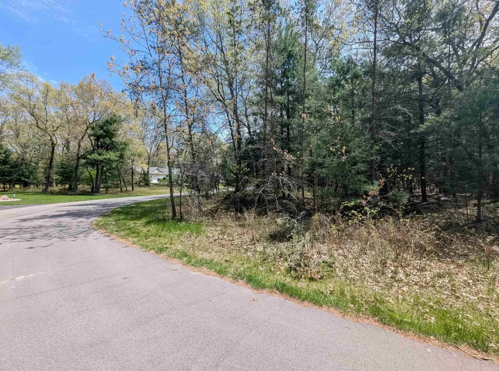 N/a Golfview Court Sims Township MI 48703
