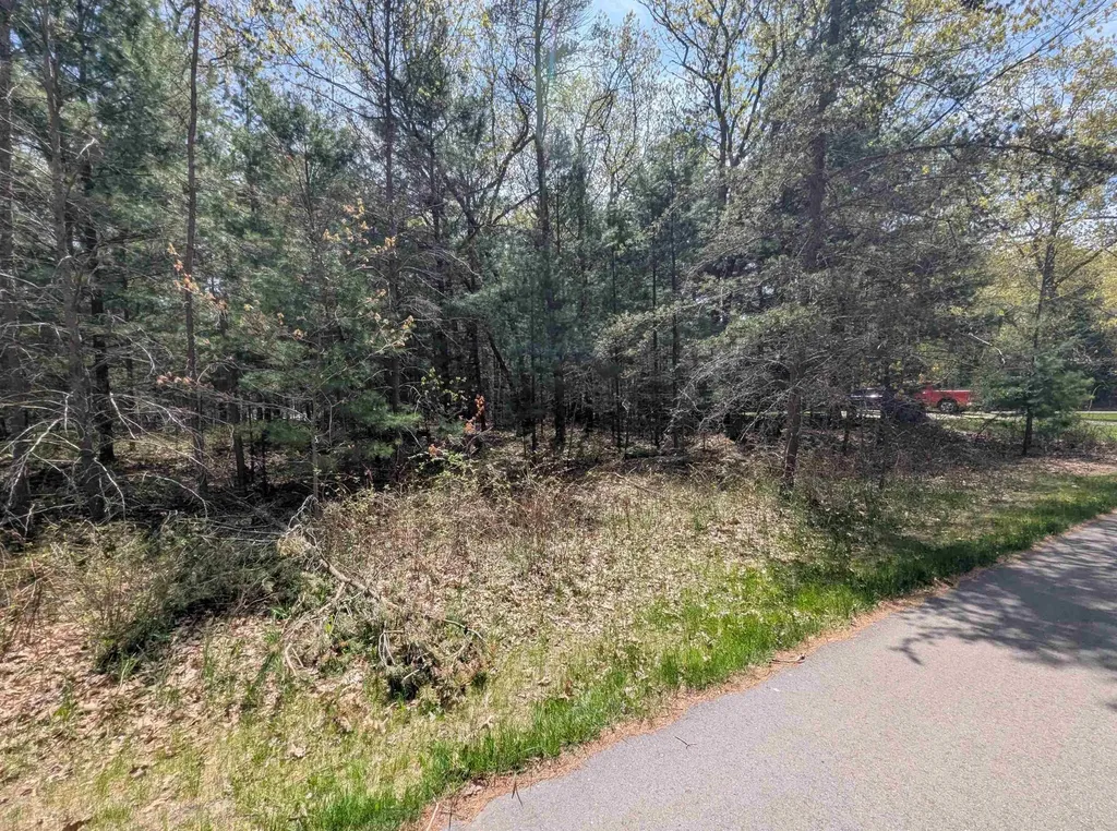 N/a Golfview Court Sims Township MI 48703