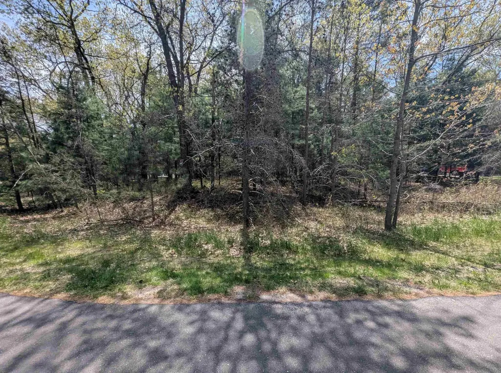 N/a Golfview Court Sims Township MI 48703