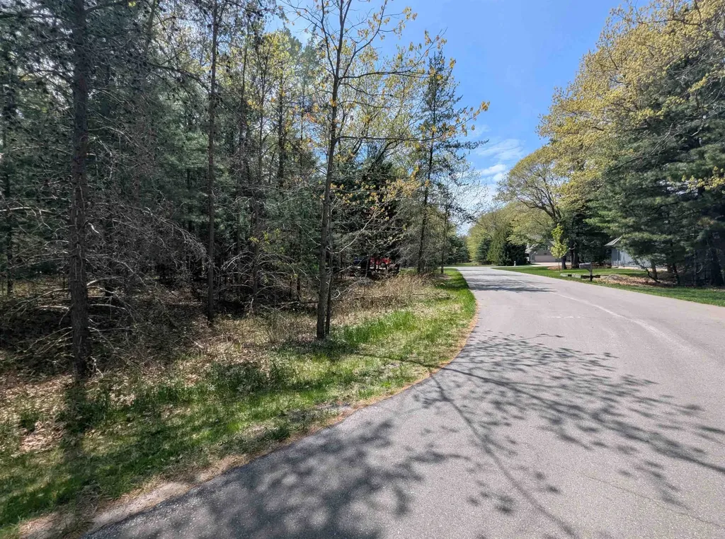N/a Golfview Court Sims Township MI 48703