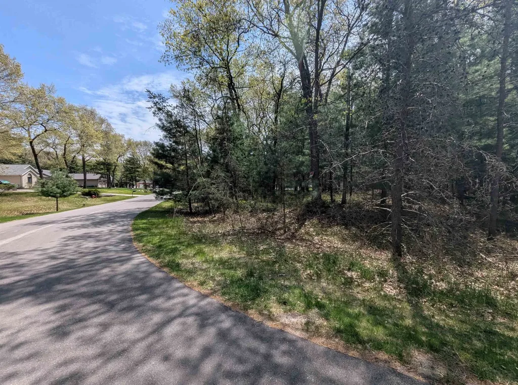 N/a Golfview Court Sims Township MI 48703