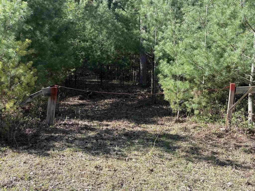 00 Miller Road Tawas Township MI 48763